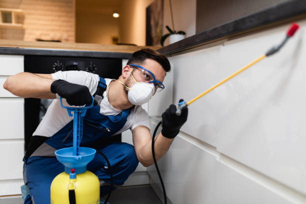 Best Cockroach Control Services  in Tecumseh, OK