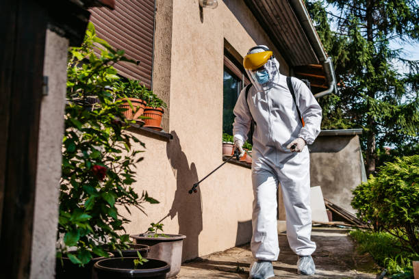 Best Pest Prevention Services  in Tecumseh, OK
