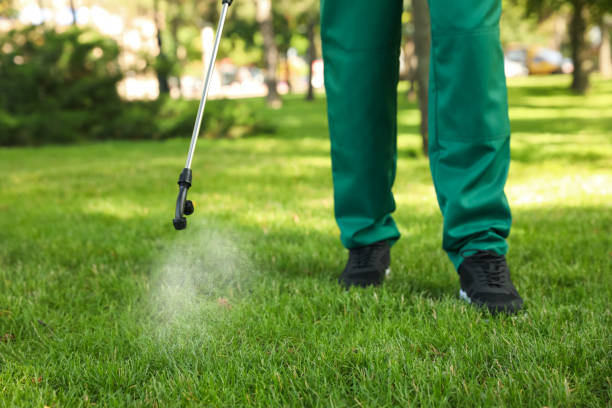 Best Affordable Pest Control Services  in Tecumseh, OK