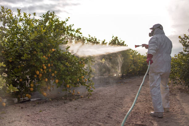 Best Pest Inspection Near Me  in Tecumseh, OK