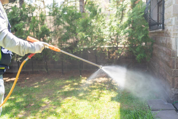 Best Flea Control Services  in Tecumseh, OK