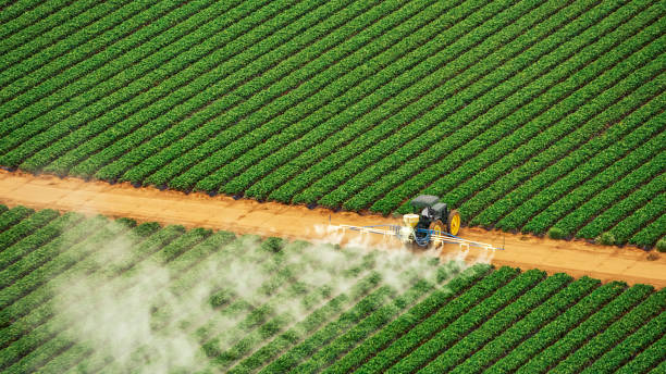 Best Pest Control Treatment  in Tecumseh, OK