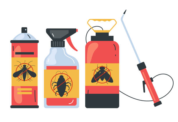 Best Wasp Removal Services  in Tecumseh, OK