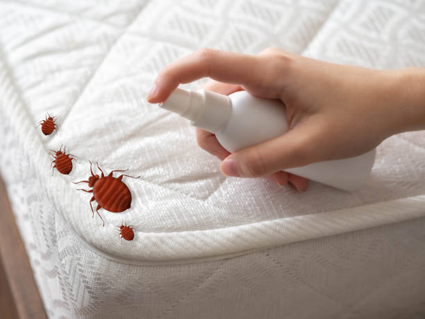 Best Residential Pest Control  in Tecumseh, OK
